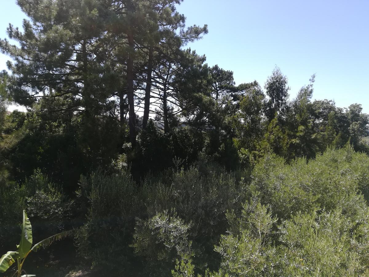 Quinta Vale Real Villa Alcobaça Екстериор снимка