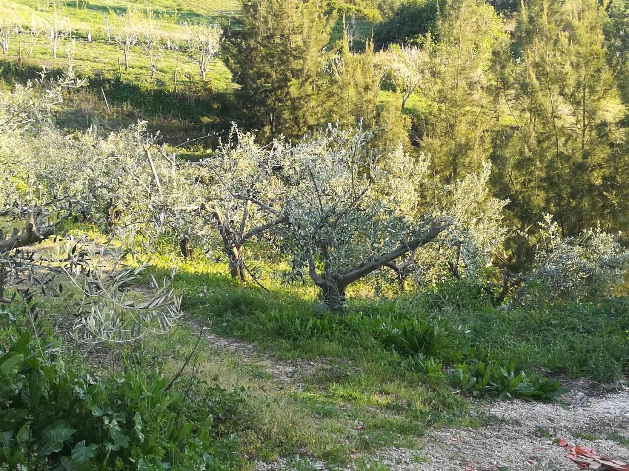 Quinta Vale Real Villa Alcobaça Екстериор снимка